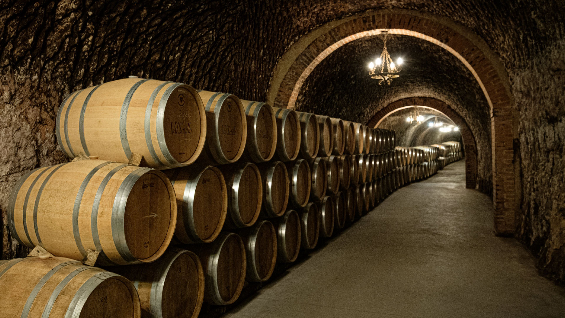 Cellared Wine for the Ages Ribera y Rueda