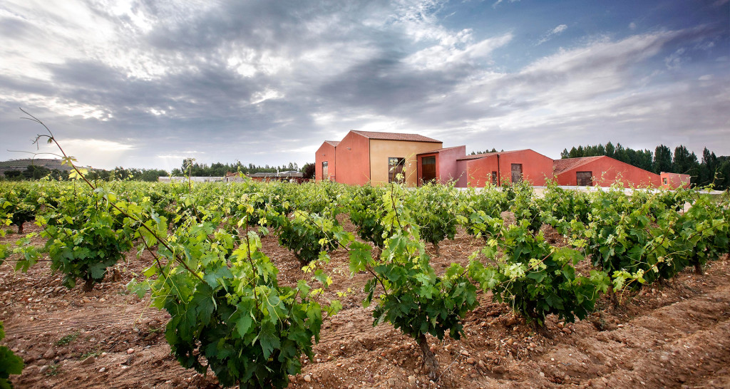 O.Fournier Espana 3 1024x546